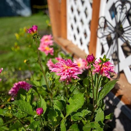 The Mint Cottage With Garden Anchorage Exterior foto
